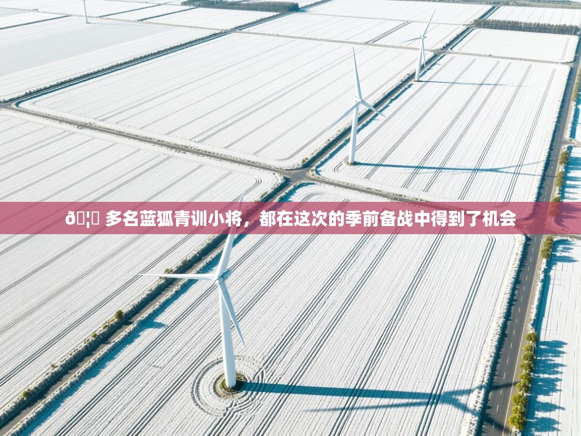 🦊 多名蓝狐青训小将，都在这次的季前备战中得到了机会  第1张