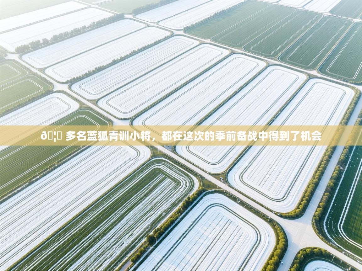 🦊 多名蓝狐青训小将，都在这次的季前备战中得到了机会  第2张