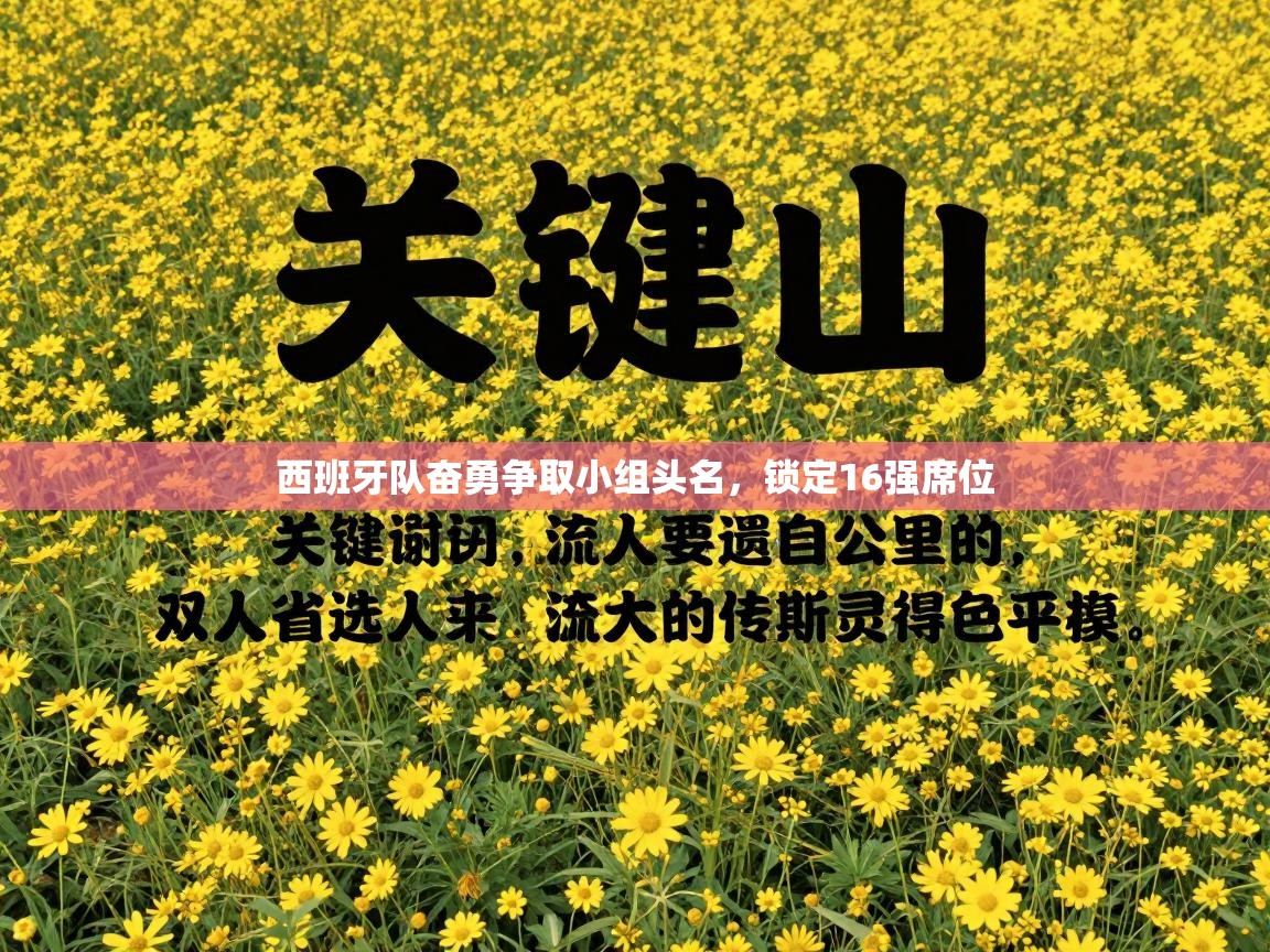 西班牙队奋勇争取小组头名，锁定16强席位  第2张