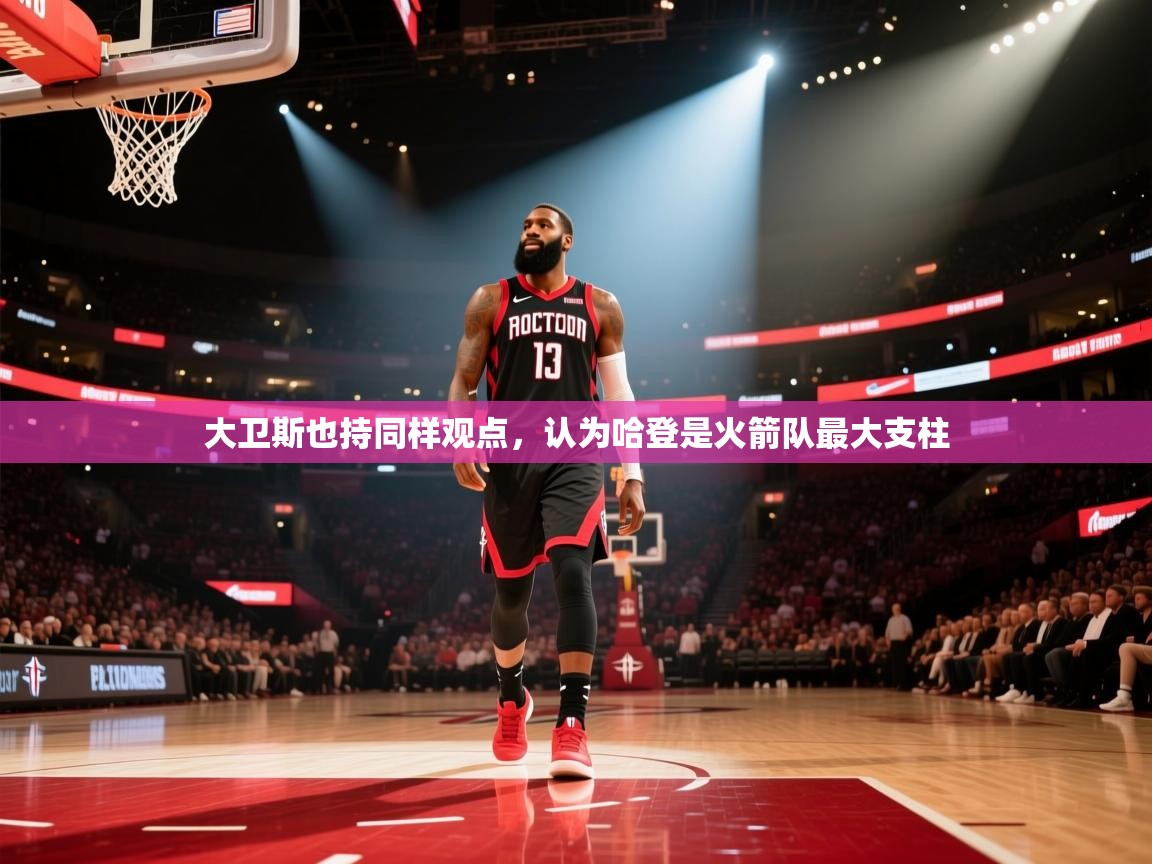 大卫斯也持同样观点，认为哈登是火箭队最大支柱  第1张