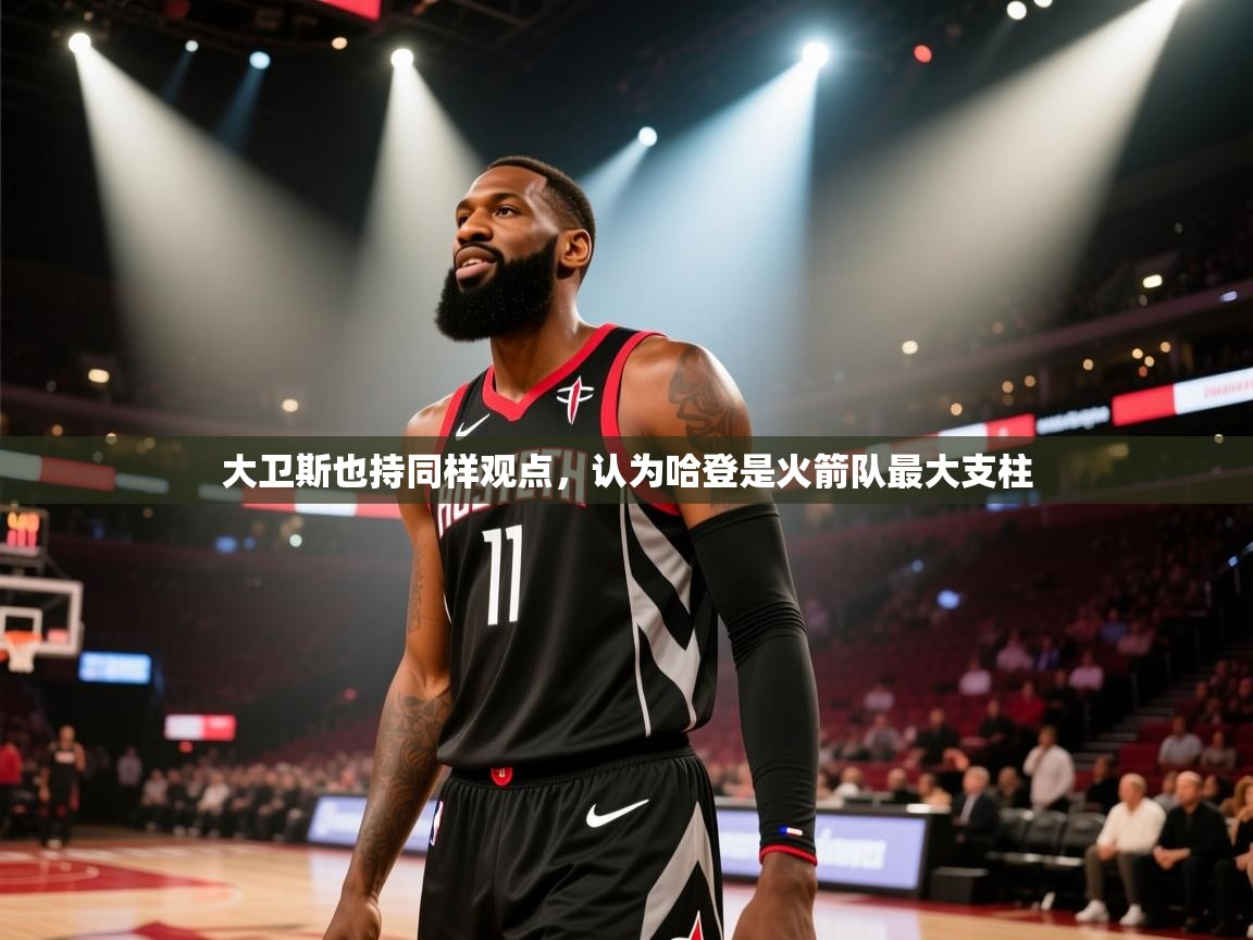 大卫斯也持同样观点，认为哈登是火箭队最大支柱  第2张