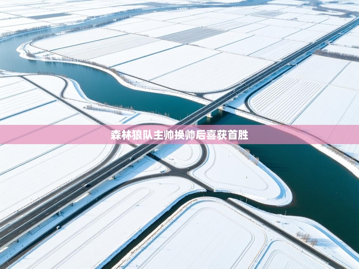 森林狼队主帅换帅后喜获首胜 第1张