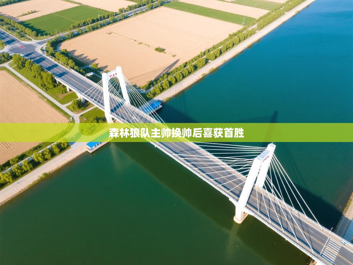 森林狼队主帅换帅后喜获首胜 第2张