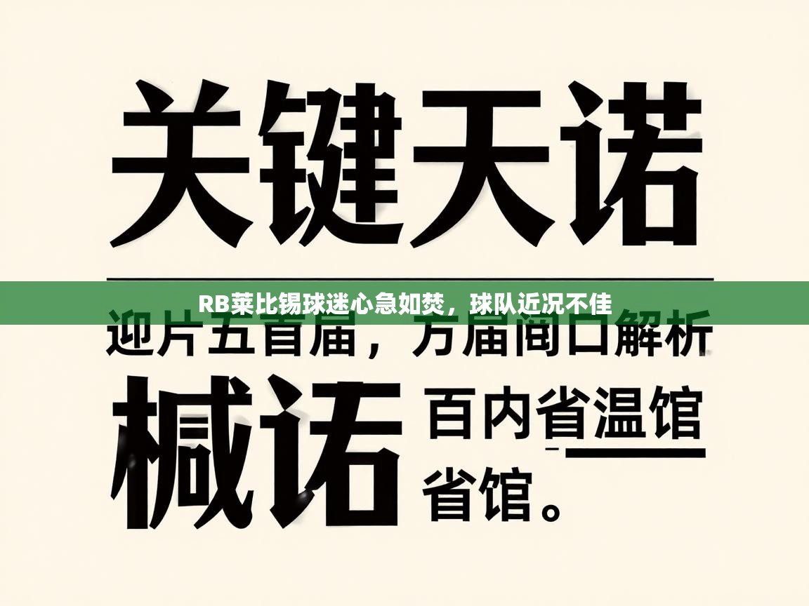 RB莱比锡球迷心急如焚，球队近况不佳  第1张