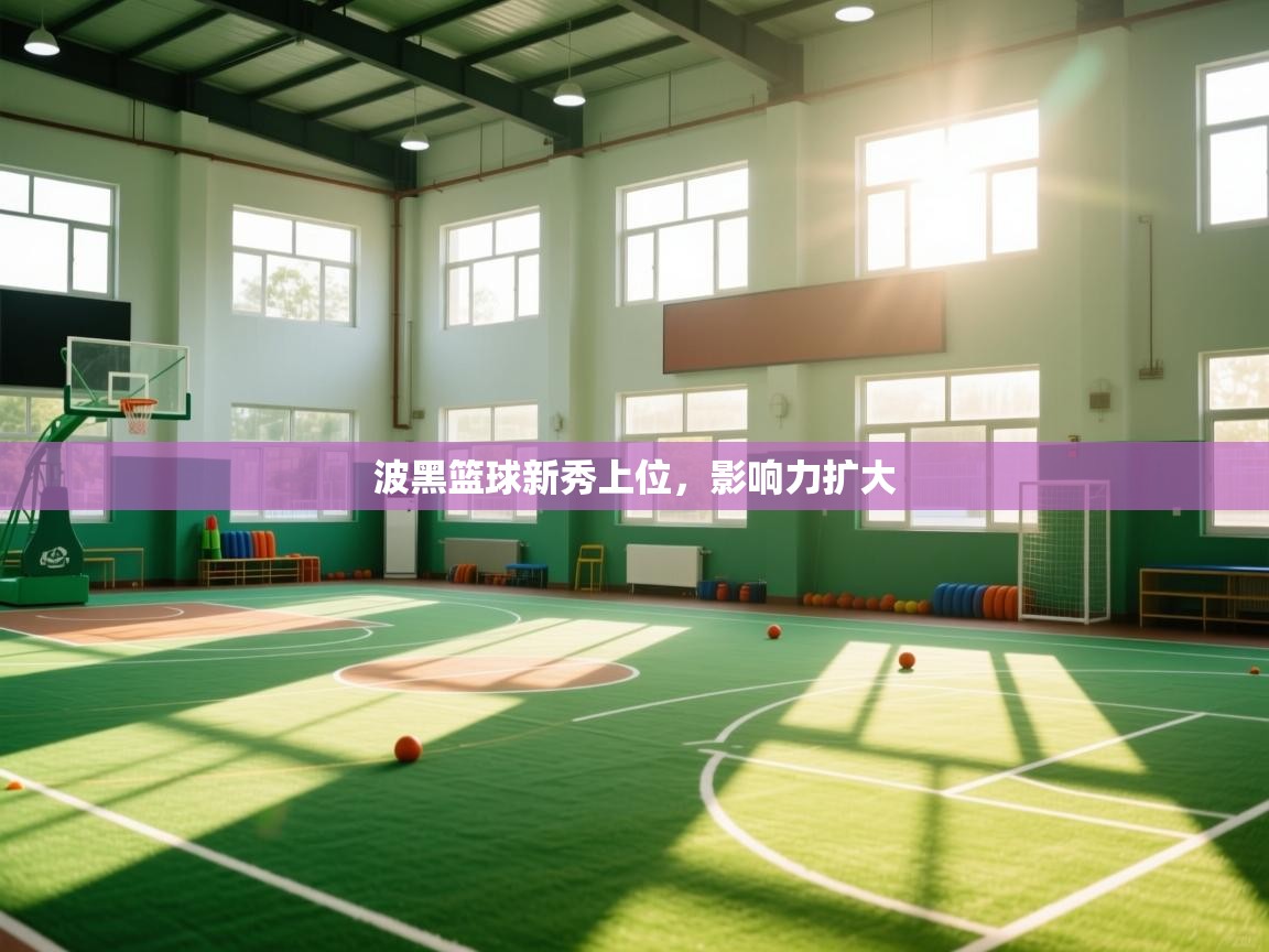 波黑篮球新秀上位，影响力扩大  第1张