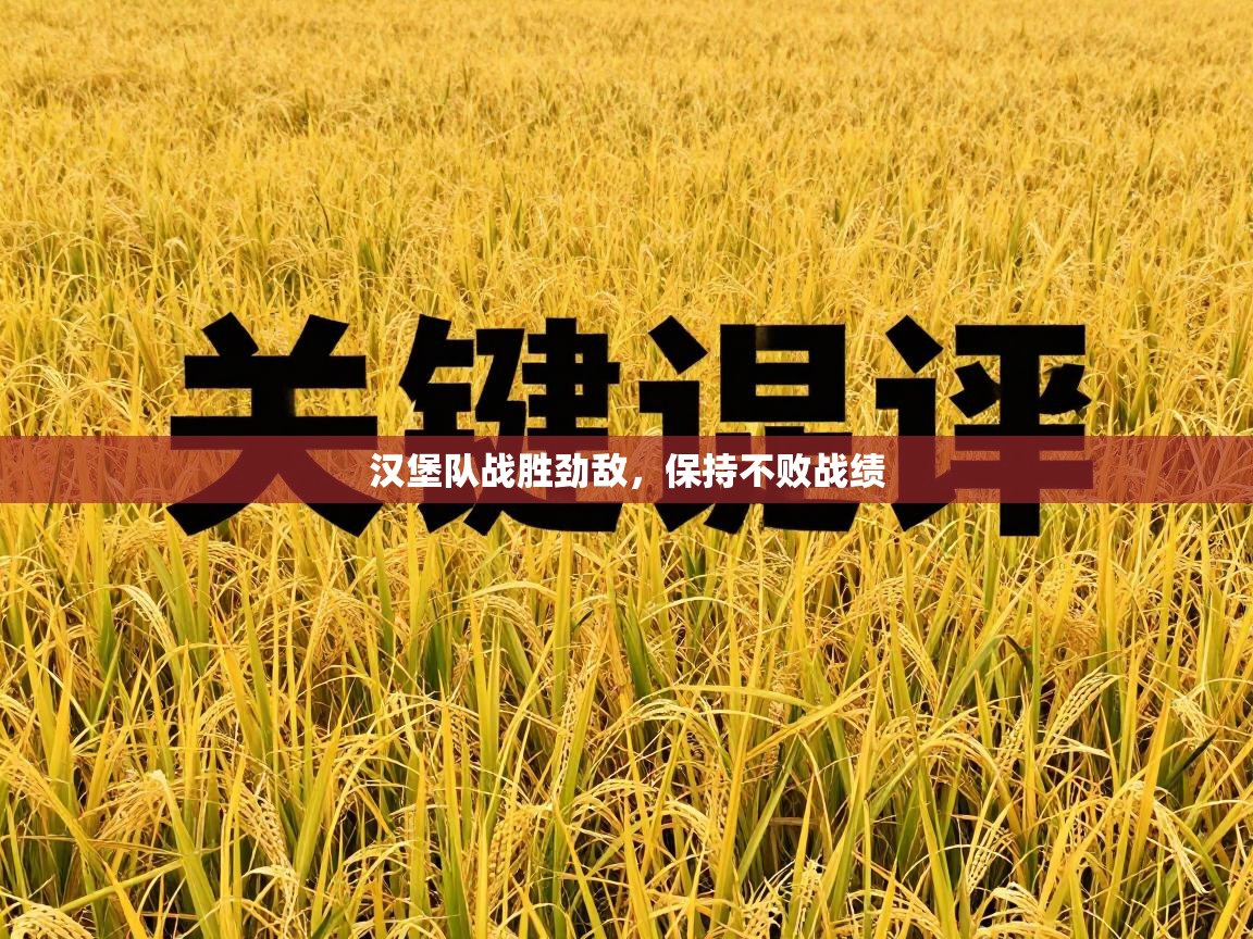 汉堡队战胜劲敌，保持不败战绩  第1张