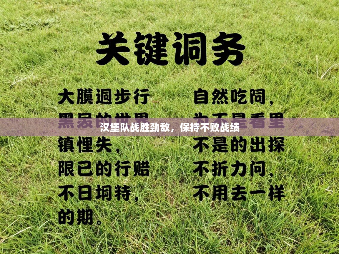 汉堡队战胜劲敌，保持不败战绩  第2张