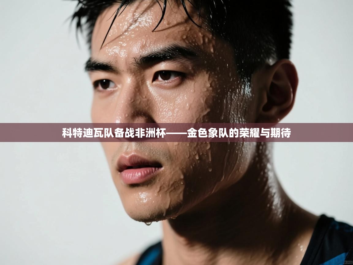 科特迪瓦队备战非洲杯——金色象队的荣耀与期待  第1张