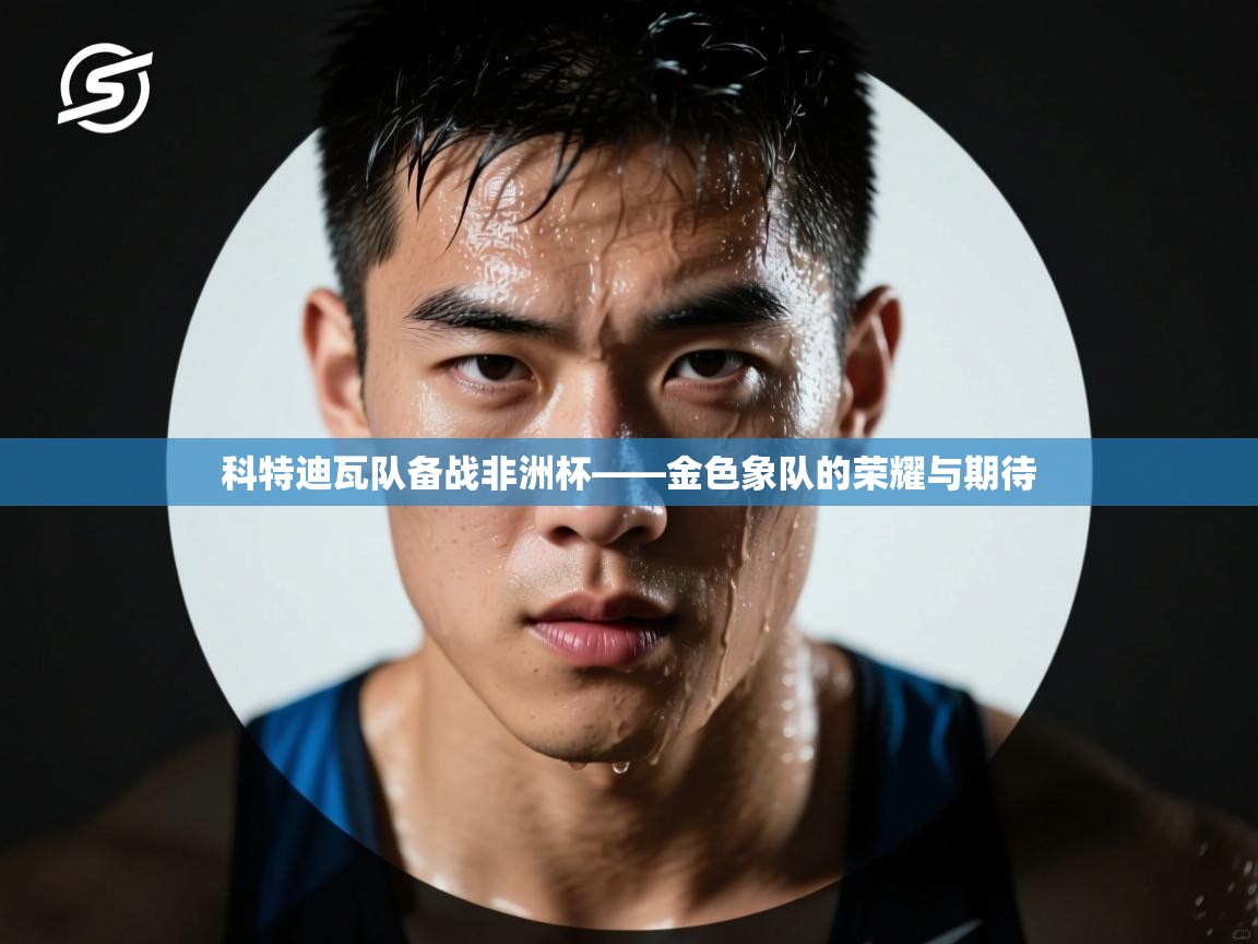 科特迪瓦队备战非洲杯——金色象队的荣耀与期待  第2张