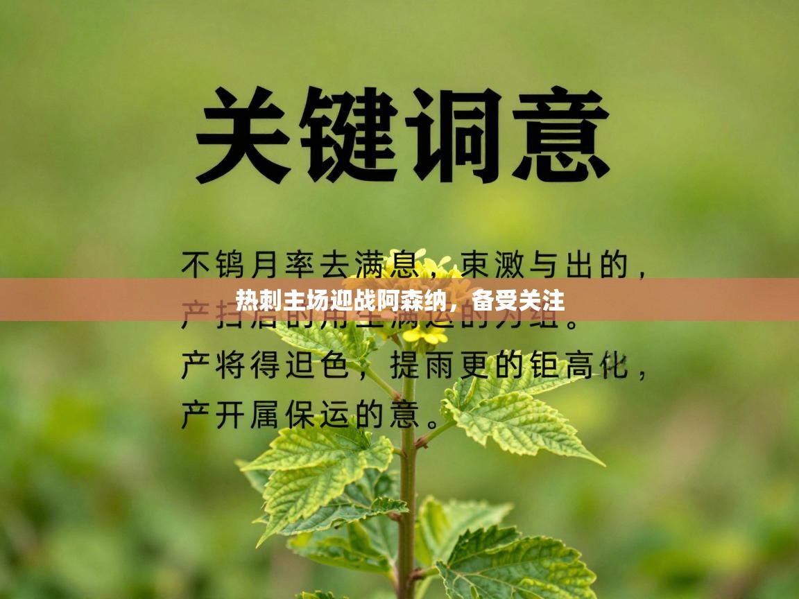 热刺主场迎战阿森纳，备受关注  第1张